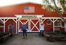 Built to Withstand the Elements: A Guide to a Truly Durable Farm Shed Farm Shed